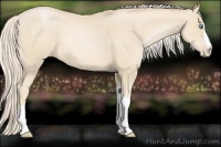 Horse Color:Palomino Pearl