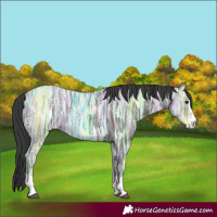 Horse Color:Black Ice 