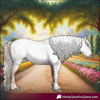 Horse Color:Gray Gold Champagne Appaloosa  and Gray Gold Champagne Appaloosa 