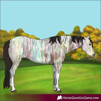 Horse Color:Gray Bay Ice Tobiano 