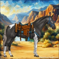 Horse Color:Gray Silver Black Tobiano