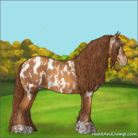 Horse Color:Gray Gold Champagne Appaloosa  and Gray Gold Champagne Appaloosa 
