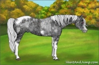 Horse Color:Silver Blue Chinchilla Ice Roan Pearl Tobiano Frame 