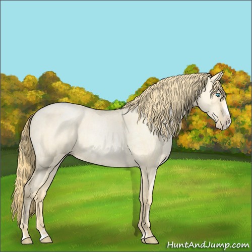Horse Color:Buckskin Roan Pearl Dun and Buckskin Roan Pearl Dun Splash