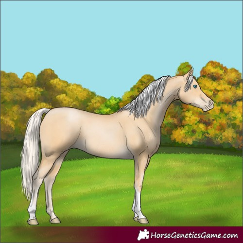 Horse Color:Silver Smoky Black Pearl Tobiano 