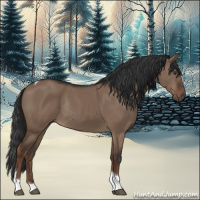 Horse Color:Liver Red Dun Tobiano Rabicano
