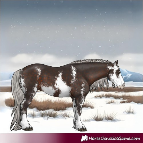 Horse Color:Silver Brown Sabino