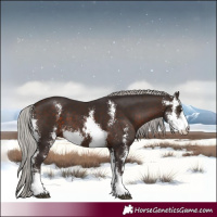 Horse Color:Silver Brown Sabino 