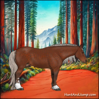 Horse Color:Silver Bay Sabino 