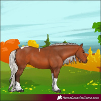 Horse Color:Silver Bay Tobiano