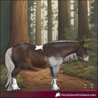Horse Color:Silver Brown Sabino Tobiano
