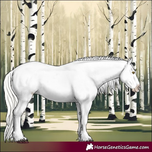 Horse Color:Silver Bay Roan Dun Snowflake Varnish Rabicano