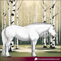 Horse Color:Silver Bay Roan Dun Snowflake Varnish Rabicano 