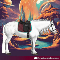 Horse Color:Silver Grullo Roan Tobiano Appaloosa Rabicano