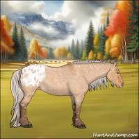 Horse Color:Silver Bay Roan Dun Appaloosa Rabicano 