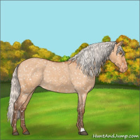Horse Color:Silver Bay Roan Dun Snowflake Varnish Rabicano 