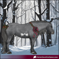 Horse Color:Black Frame Appaloosa Rabicano 