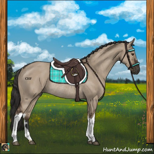 Horse Color:Liver Red Dun Rabicano
