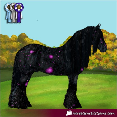 Horse Color:ERROR: UNKNOWN ANOMALY