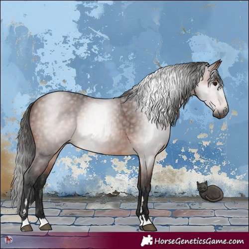 Horse Color:Gray Bay 