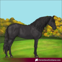 Horse Color:Smoky Black Rabicano 