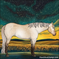 Horse Color:Gray Silver Bay Roan Dun Snowflake Varnish Rabicano 