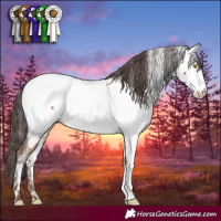 Horse Color:Sable Champagne Sabino Appaloosa 