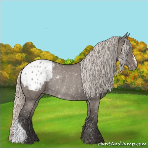 Horse Color:Silver Grullo Roan Appaloosa Rabicano 