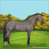 Horse Color:Grullo Sabino Rabicano 