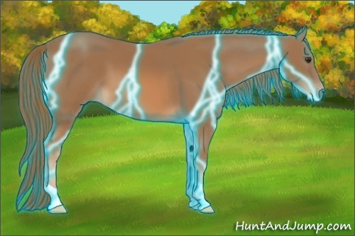 Horse Color:Thunderstruck Chestnut 