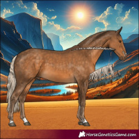 Horse Color:Chocolate Palomino 