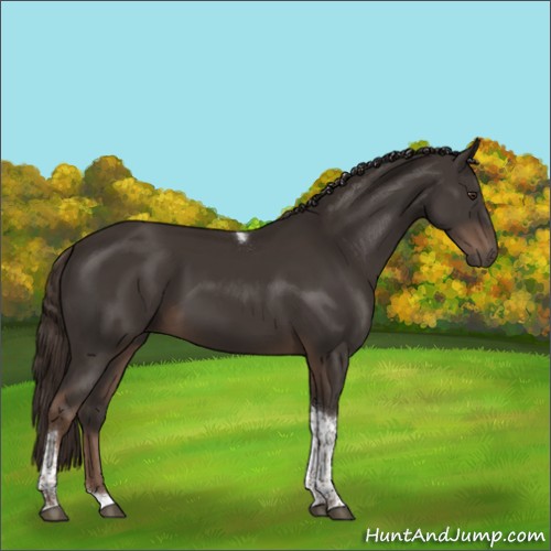 Horse Color:Liver Chestnut Sabino Tobiano Rabicano