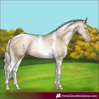 Horse Color:Silver Buckskin Pearl Dun Tobiano 