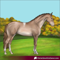 Horse Color:Liver Chestnut Pearl Sabino Tobiano Rabicano 