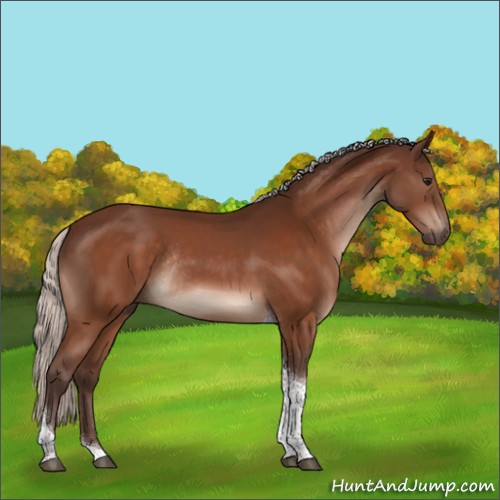 Horse Color:Silver Bay Tobiano Rabicano 