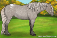 Horse Color:Silver Grullo Roan Appaloosa Rabicano 