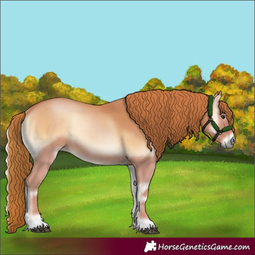 Horse Color:Red Onyx 