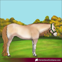 Horse Color:Red Onyx Pearl