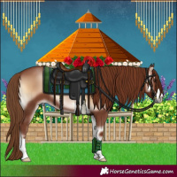 Horse Color:Red Onyx 
