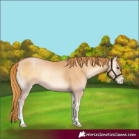 Horse Color:Red Onyx Pearl 