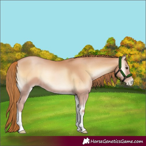 Horse Color:Red Onyx Pearl 