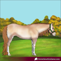 Horse Color:Red Onyx Pearl 