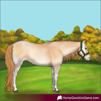 Horse Color:Red Onyx Pearl 