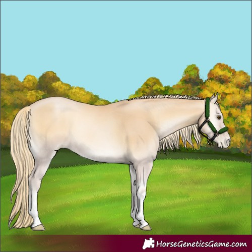 Horse Color:Red Onyx Pearl Mushroom 