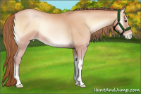 Horse Color:Bay Pearl Onyx Mushroom 