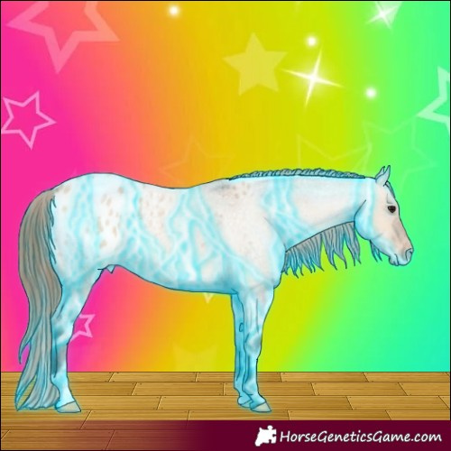 Horse Color:Thunderstruck Bay Roan Dun Appaloosa 