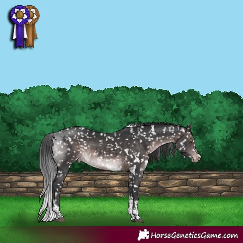 Horse Color:Platinum White Spotted Brown Tobiano Snowflake VarnishRabicano 