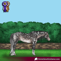 Horse Color:Platinum White Spotted Brown Tobiano Snowflake VarnishRabicano 