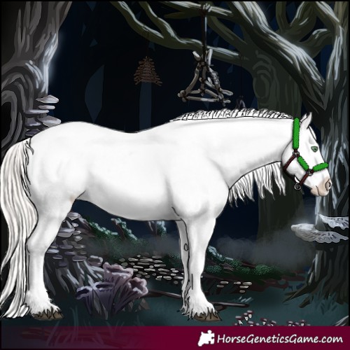 Horse Color:Silver Bay Roan Dun Appaloosa Rabicano 