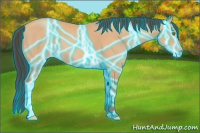 Horse Color:Thunderstruck Amber Champagne 